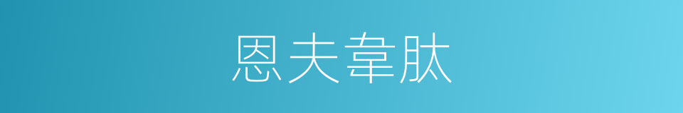 恩夫韋肽的同義詞