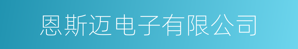 恩斯迈电子有限公司的同义词