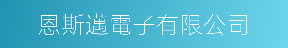 恩斯邁電子有限公司的同義詞