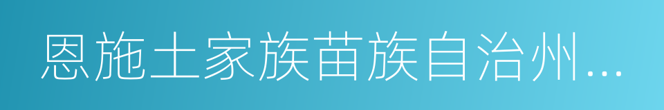 恩施土家族苗族自治州人民政府的同义词