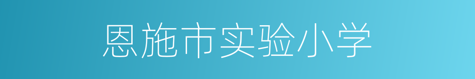 恩施市实验小学的同义词