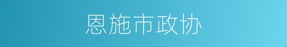 恩施市政协的同义词