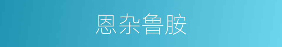 恩杂鲁胺的同义词