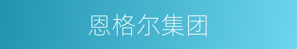 恩格尔集团的同义词