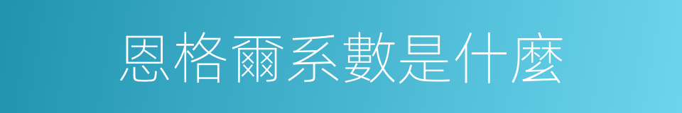 恩格爾系數是什麼的同義詞