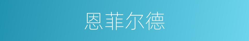 恩菲尔德的同义词