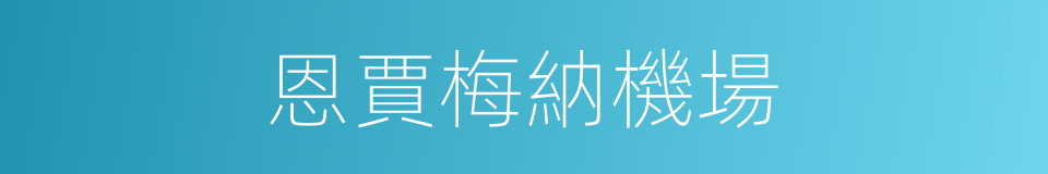 恩賈梅納機場的同義詞