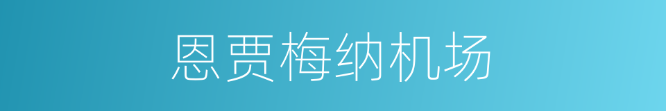 恩贾梅纳机场的同义词