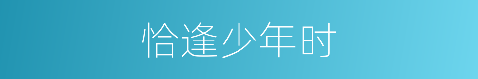 恰逢少年时的同义词
