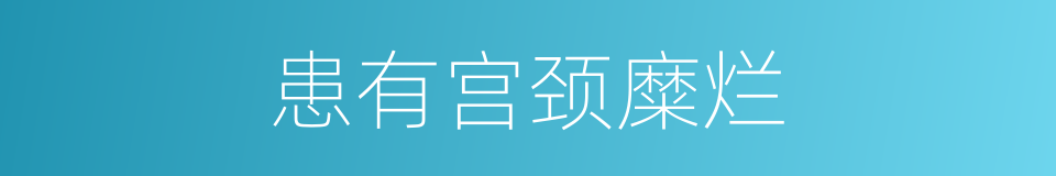 患有宫颈糜烂的同义词