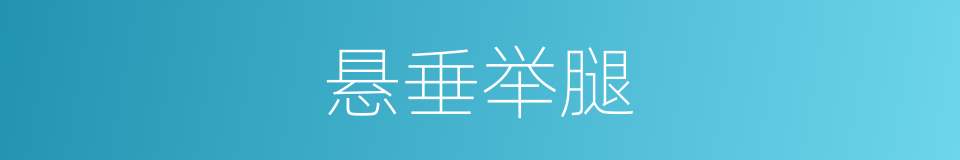 悬垂举腿的意思