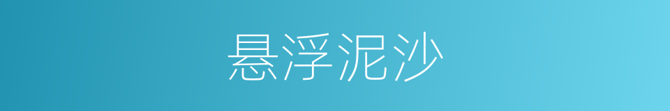 悬浮泥沙的同义词