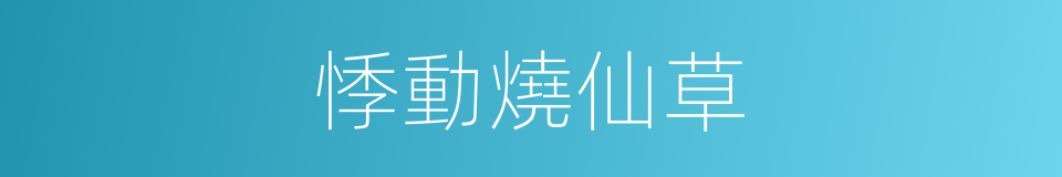悸動燒仙草的同義詞