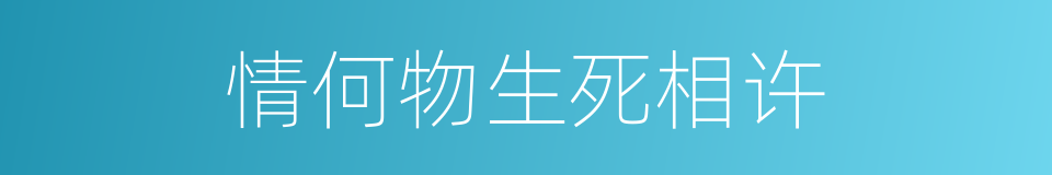 情何物生死相许的同义词