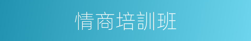 情商培訓班的同義詞