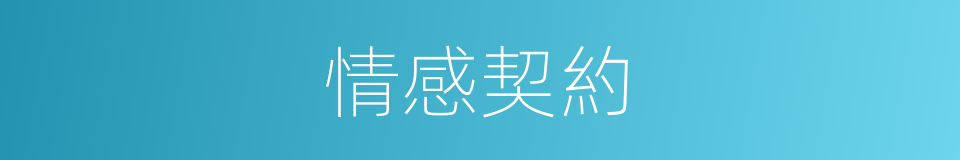 情感契約的同義詞