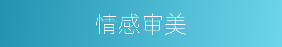 情感审美的同义词