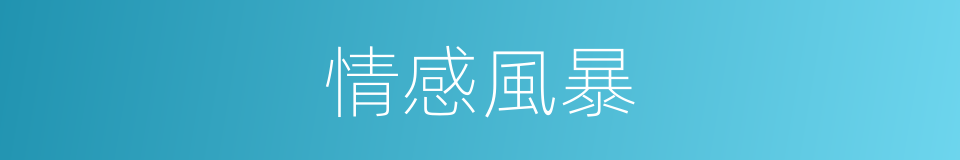 情感風暴的同義詞