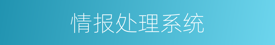 情报处理系统的同义词