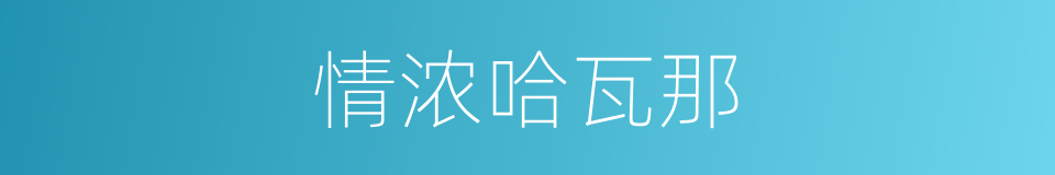 情浓哈瓦那的同义词