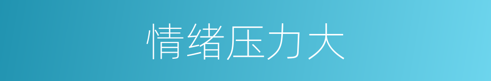 情绪压力大的同义词