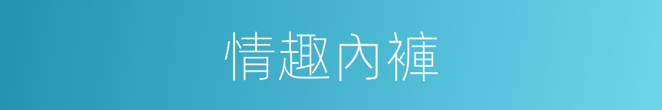 情趣內褲的同義詞