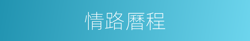 情路曆程的同義詞