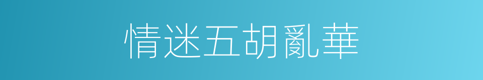 情迷五胡亂華的同義詞