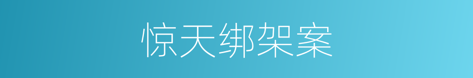 惊天绑架案的同义词