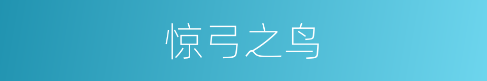 惊弓之鸟的意思