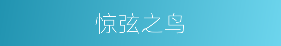 惊弦之鸟的意思