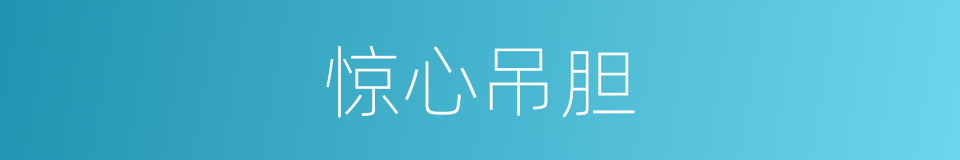 惊心吊胆的意思