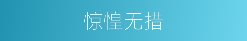 惊惶无措的意思