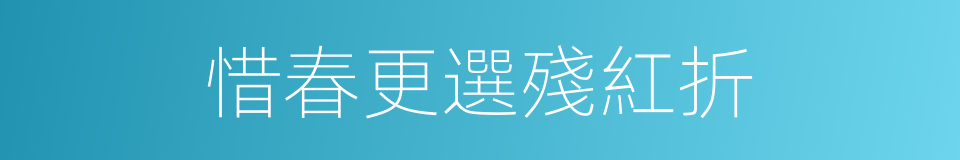 惜春更選殘紅折的同義詞