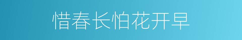惜春长怕花开早的同义词