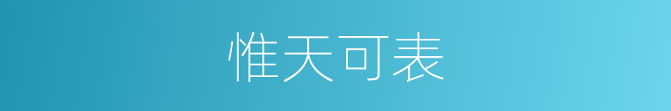 惟天可表的意思
