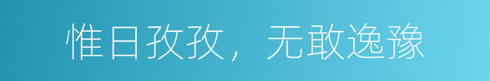 惟日孜孜，无敢逸豫的同义词