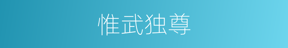 惟武独尊的同义词