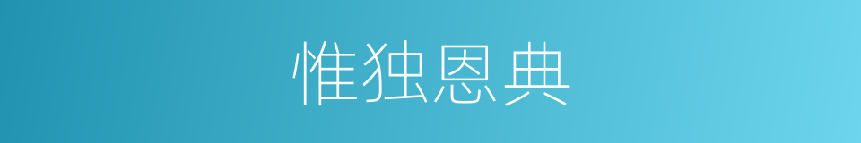 惟独恩典的同义词