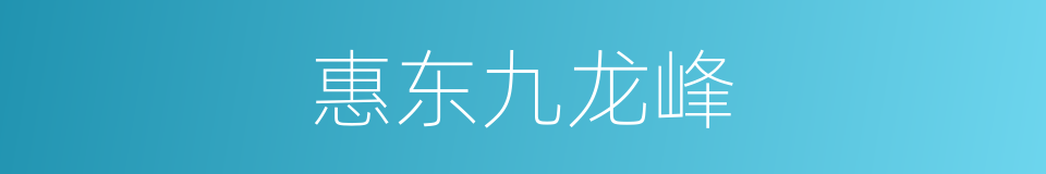 惠东九龙峰的同义词