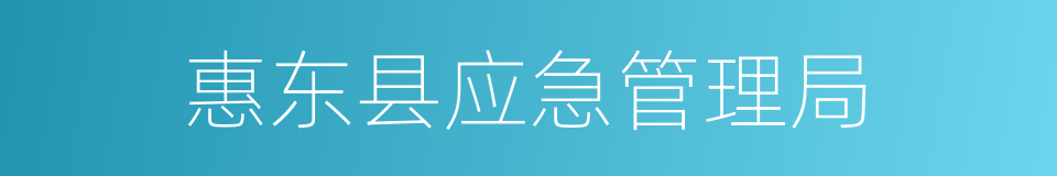 惠东县应急管理局的同义词