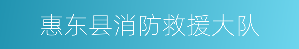 惠东县消防救援大队的同义词