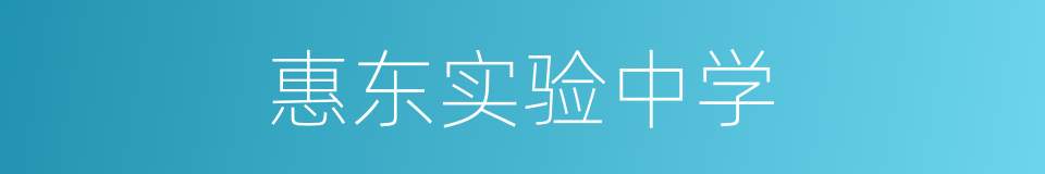 惠东实验中学的同义词