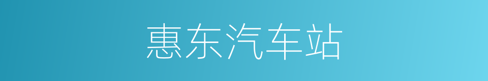 惠东汽车站的同义词