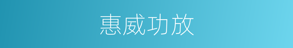 惠威功放的同义词