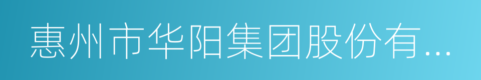 惠州市华阳集团股份有限公司的同义词