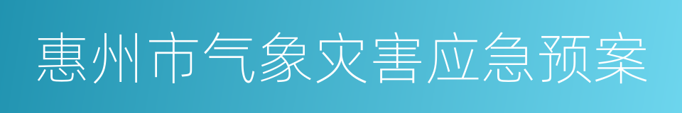 惠州市气象灾害应急预案的同义词