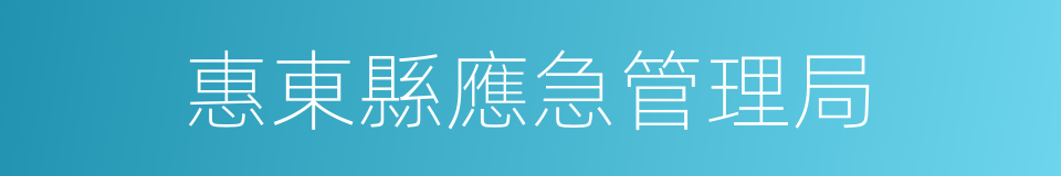 惠東縣應急管理局的同義詞