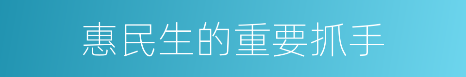 惠民生的重要抓手的同义词