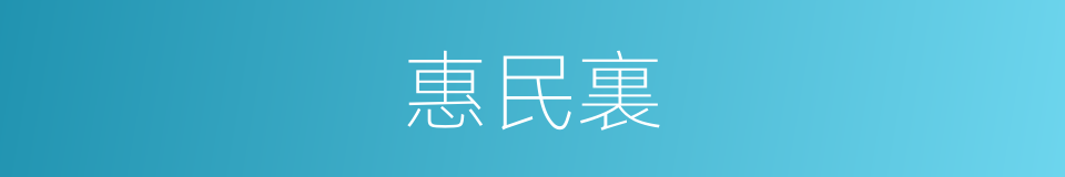惠民裏的同義詞